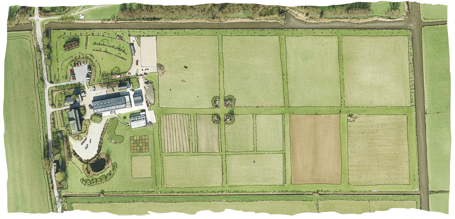 Bovenaanzicht van Campus almkerk in tekenstijl.