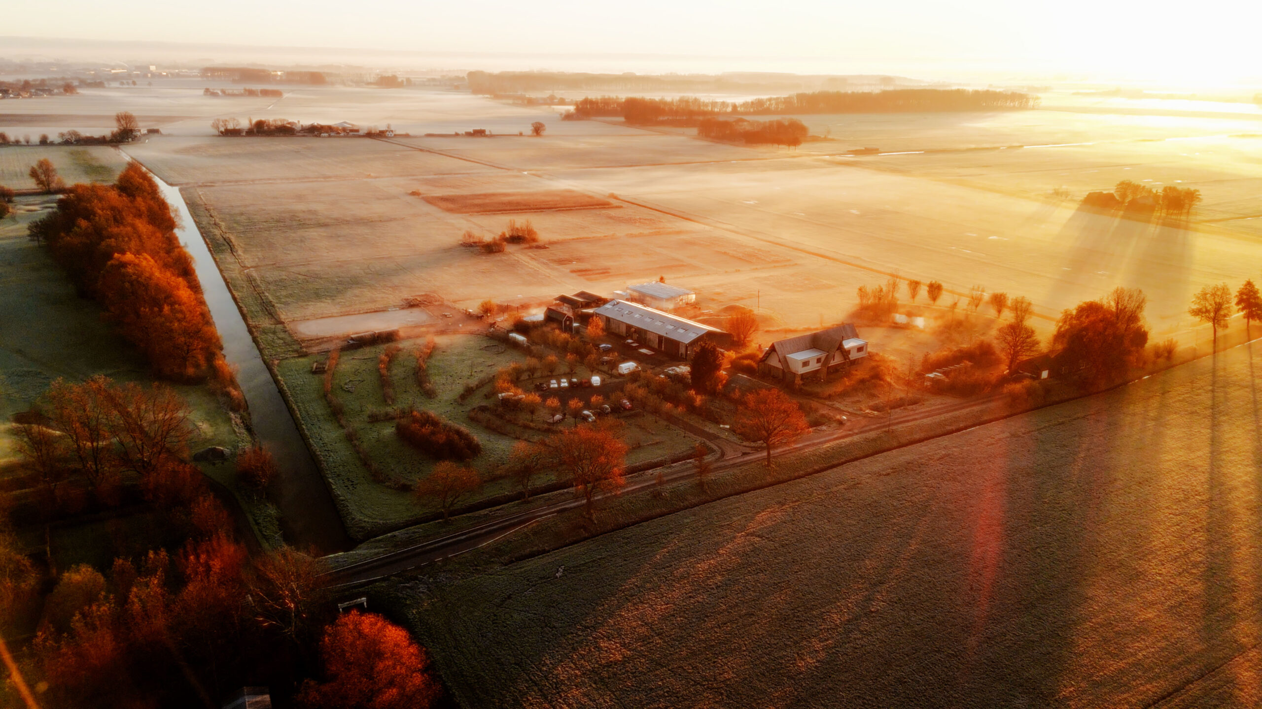 Campus almkerk, een agrarisch innovatiecentrum, liggend tussen weilanden waar de zon een mooie dans van licht en schaduw opvoert.